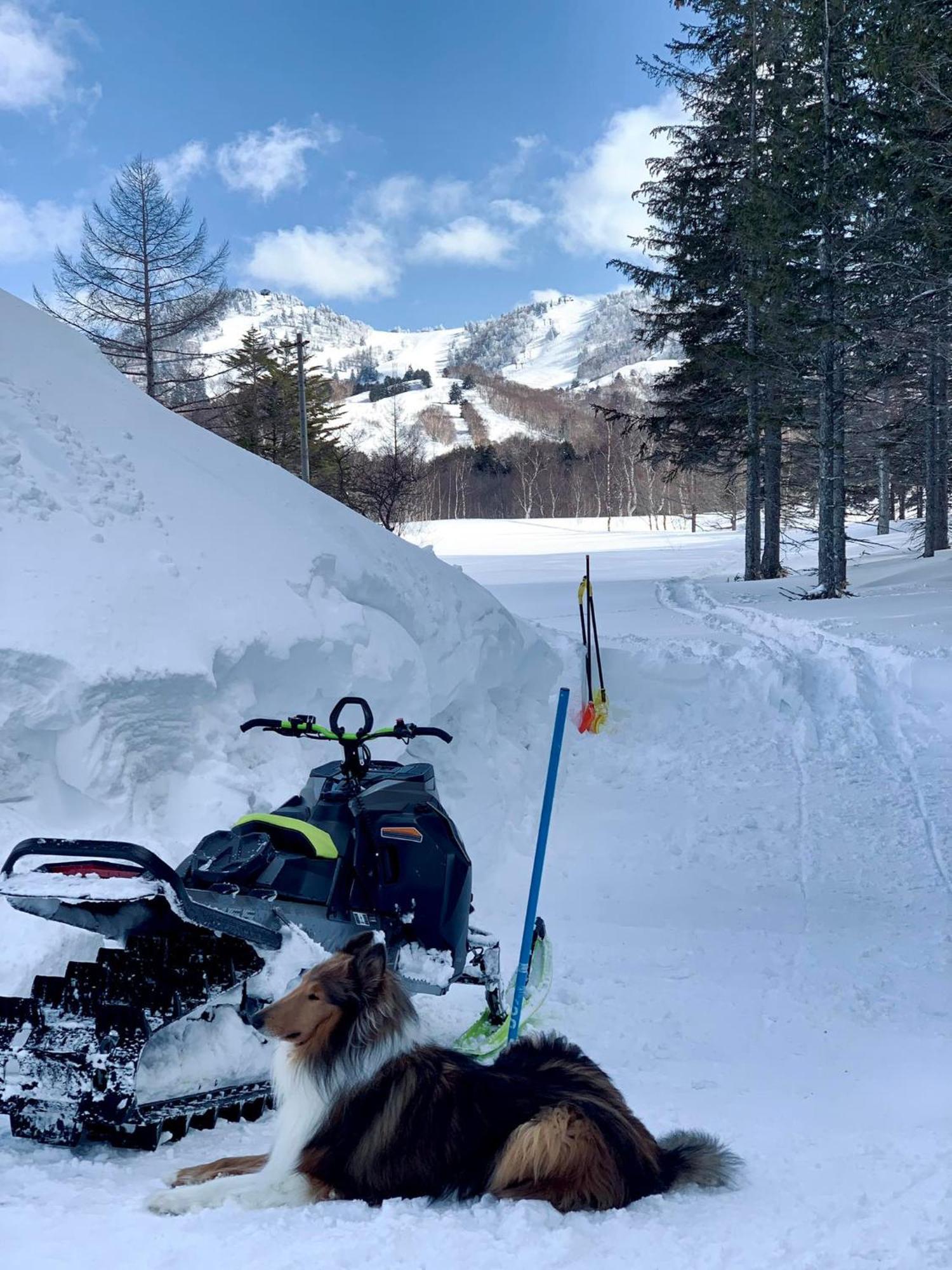 Tabist Sachinoyu Shiga Kogen Hotel Yamanouchi  Eksteriør billede