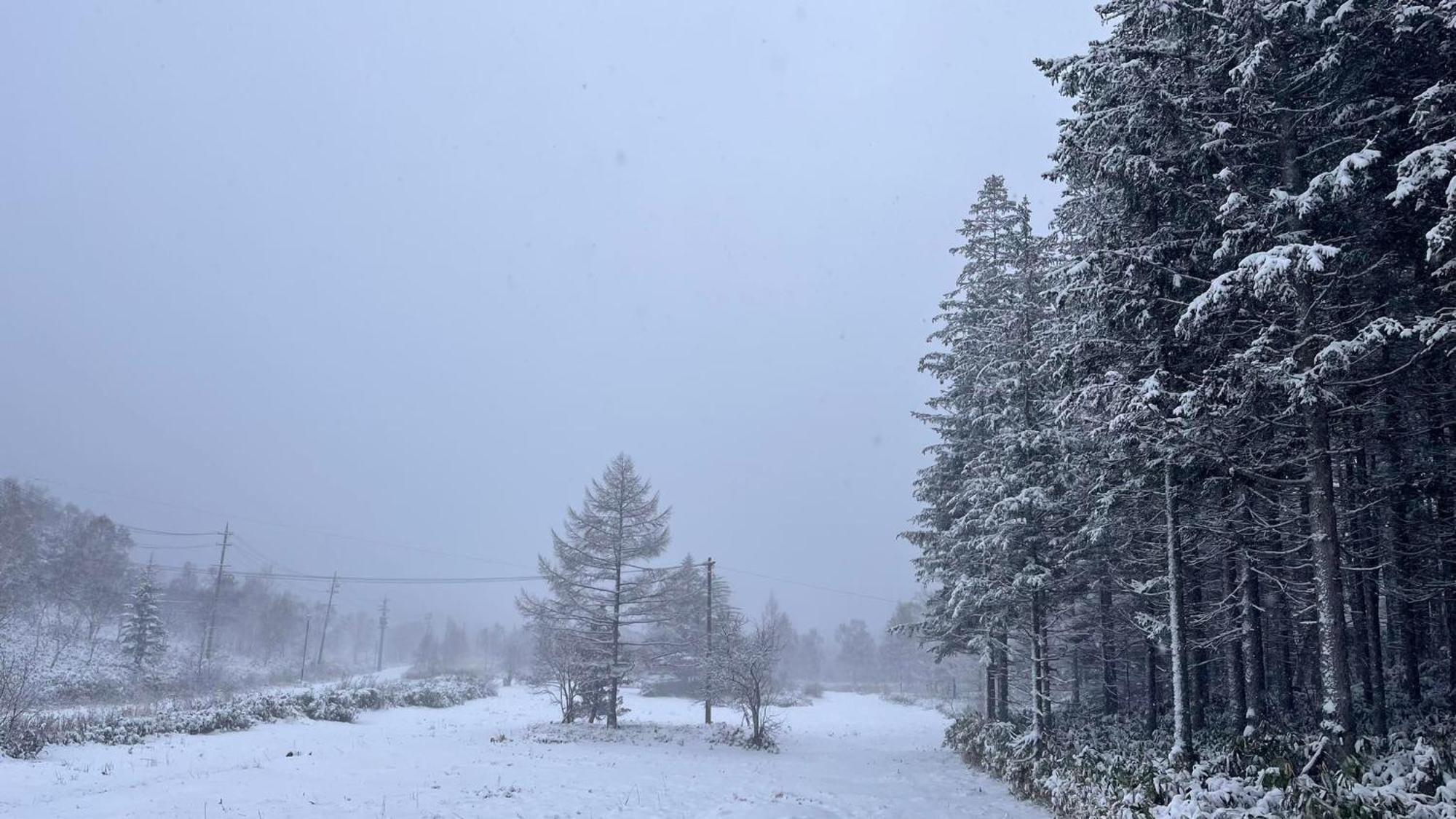 Tabist Sachinoyu Shiga Kogen Hotel Yamanouchi  Eksteriør billede