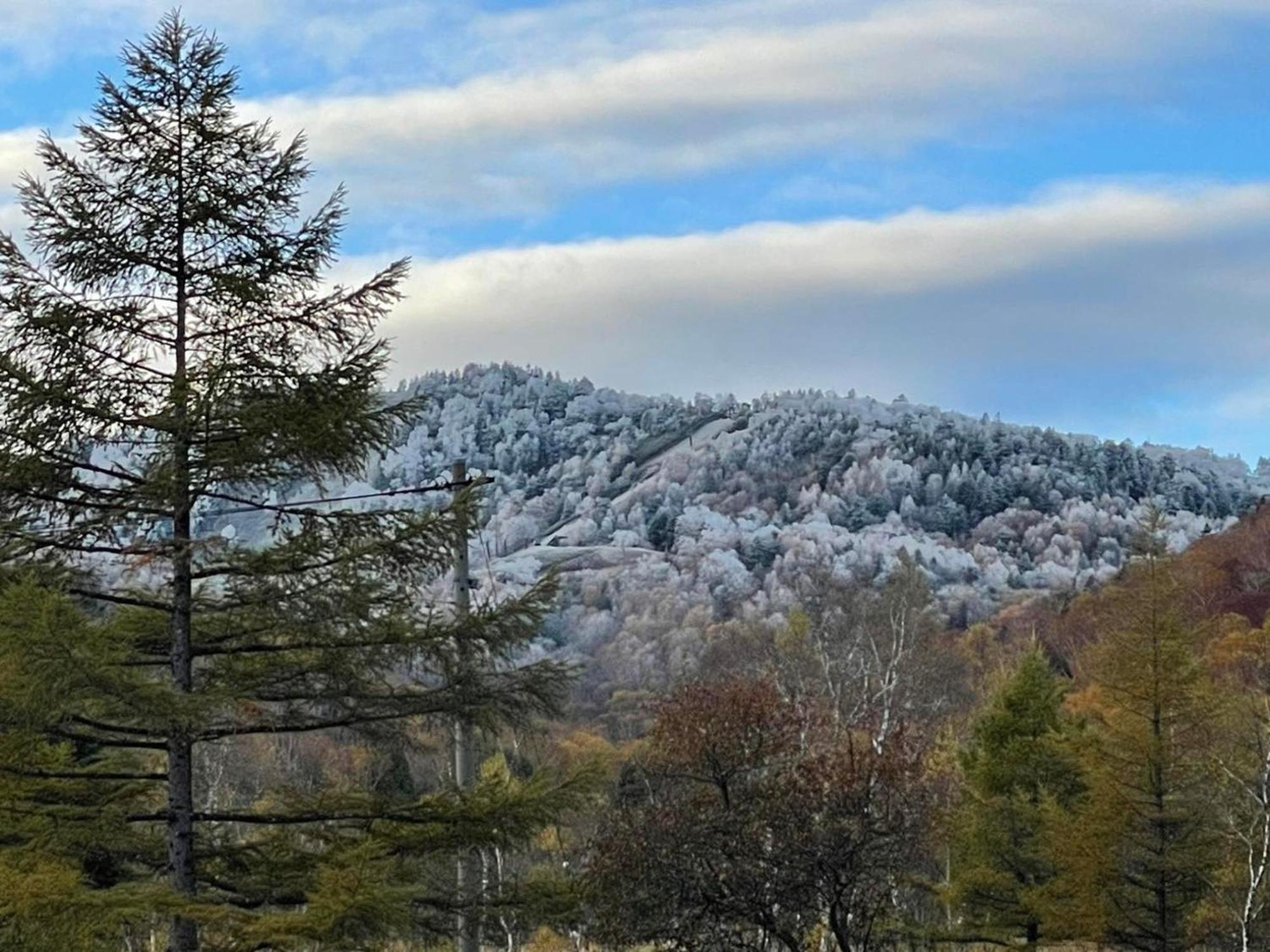 Tabist Sachinoyu Shiga Kogen Hotel Yamanouchi  Eksteriør billede