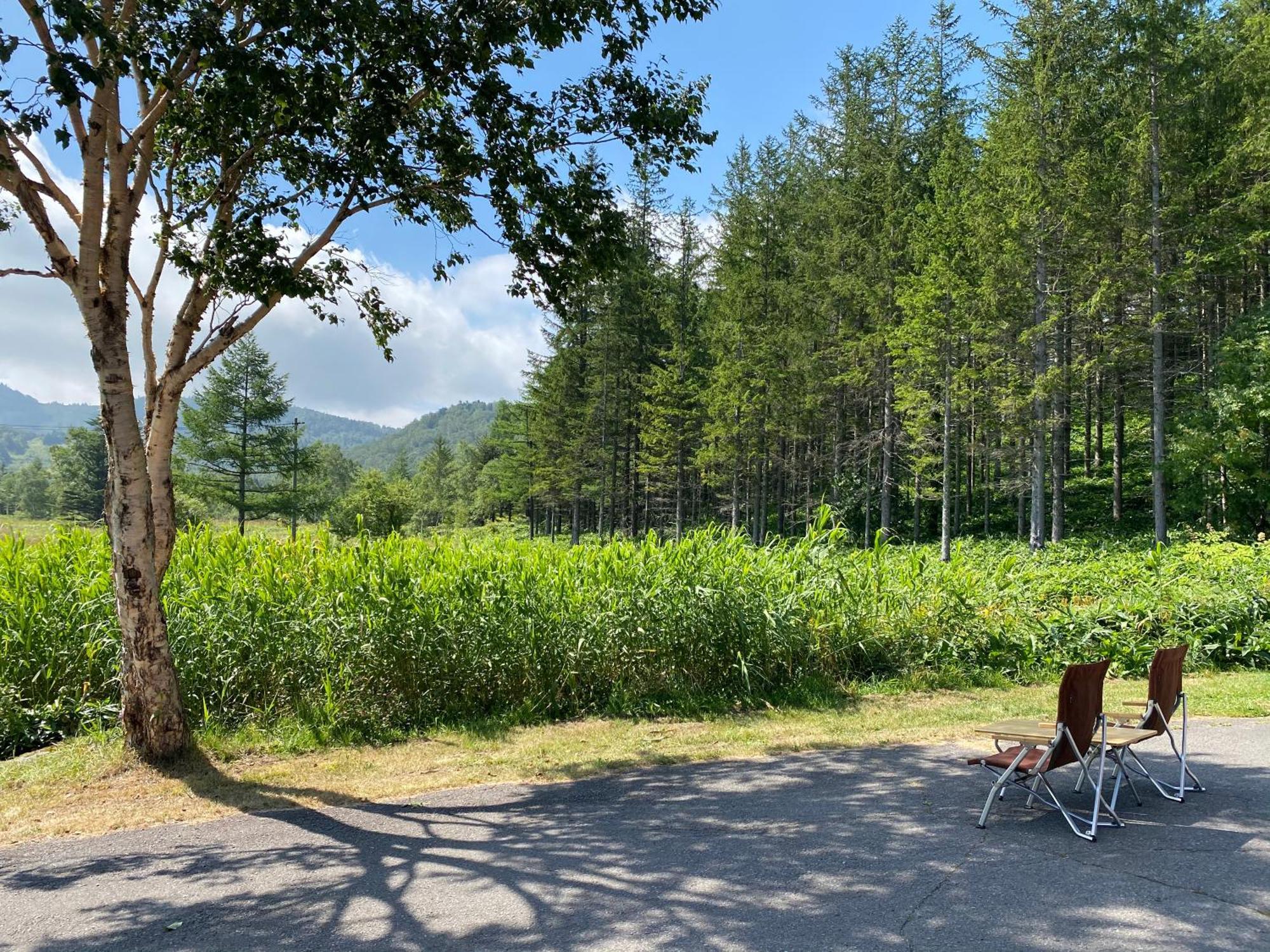 Tabist Sachinoyu Shiga Kogen Hotel Yamanouchi  Eksteriør billede